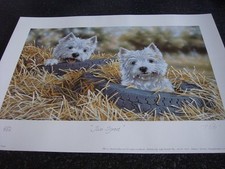 Paul doyle two for sale  STAFFORD