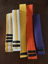 Lot karate belts for sale  Syracuse