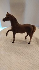 morgan mare for sale morgan mare for sale Eau Claire