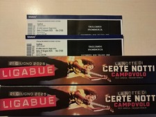 Ligabue biglietti blue usato  Rimini