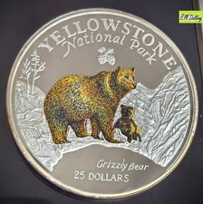 Dollars 1996 yellowstone gebraucht kaufen  Freiberg
