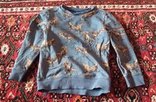 Jungen pullover bronto gebraucht kaufen  Oberschleißheim