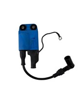 Cdi zündspule piaggio gebraucht kaufen  Cham