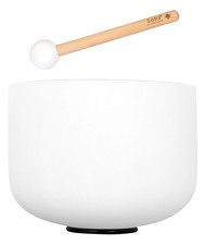 Ware sela secf10g gebraucht kaufen  Schongau