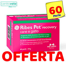 Ribes pet recovery usato  Arborea