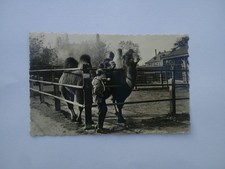 Falkenstein vogtland tiergarte gebraucht kaufen  Aue