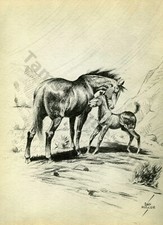 1936 horse art for sale  Kernville