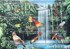 Central africa birds for sale  Rancho Cordova