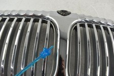 Grille vanden plas for sale  Mount Olive