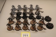 25x warriors scarabs for sale  UK