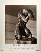 Herb ritts photographic usato  Catania