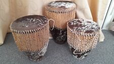 African tribal cow for sale  YEOVIL