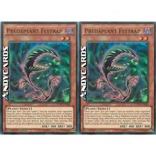 Predaplant flytrap super usato  Ravenna