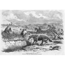 Victorian fox hunting for sale  GLASGOW