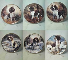 Choice springer spaniel for sale  SLEAFORD