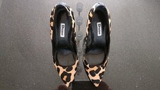 Dune leopard pony for sale  DRONFIELD