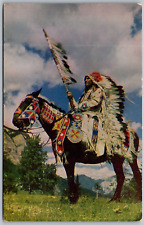 Northwest indian chief for sale  Circleville