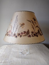 Large vintage dried for sale  BOSTON
