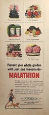 malathion insecticide for sale malathion insecticide for sale Wallins Creek