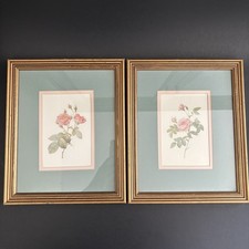 Pink rose prints for sale  Scandia