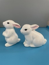 Beautiful white rabbits for sale  LOUGHBOROUGH