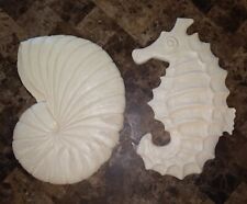 Sea shell seahorse for sale  Cameron