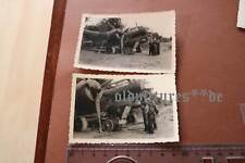 Tolle alte fotos gebraucht kaufen  Westerstede