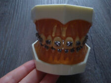 Dental zahnarzt zahntechnik gebraucht kaufen  Mammelzen