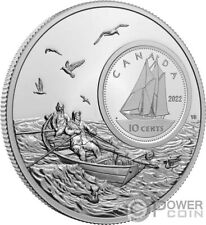 Bluenose centesimi the usato  Ciampino