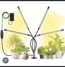 Bseah plant grow for sale  Phoenix