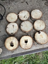 Baumscheiben kastanien holz gebraucht kaufen  Neustrelitz