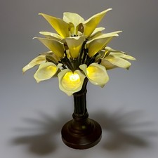Yellow calla lily for sale  Waco