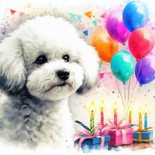 Single luxury bichon for sale  CIRENCESTER