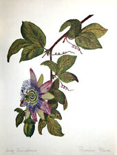 Passion flower apricot for sale  New Providence