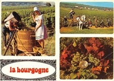 Bourgogne 3667 0277 d'occasion  France