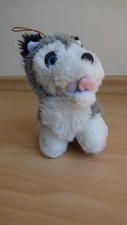 Stoffhund husky stofftier gebraucht kaufen  Münster