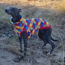 Fleece whippet dog for sale  HOLYWELL