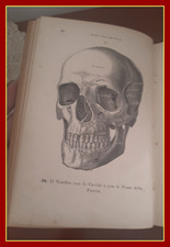 1890 anatomia umana usato  Roma