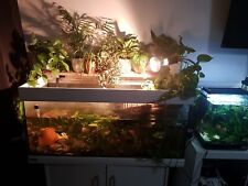 180 aquarium unterschrank gebraucht kaufen  Elmshorn