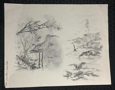 water prey game birds for sale  Leonia