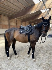 Schabracken set schwarz gebraucht kaufen  Mosbach