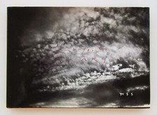 Nobuyoshi araki novembre usato  Palermo