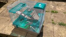 Rosewood pico hamster for sale  HUDDERSFIELD