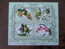 Mozambique d'occasion  Sahurs
