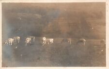 Postal De Colección Vaca Pastos Campos Verdes Agricultura Y Ganadería Cuidado Animal segunda mano  Embacar hacia Mexico