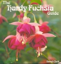 Hardy fuchsia guide for sale  UK