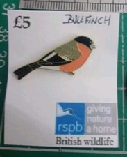 Bullfinch pin. rspb for sale  ST. IVES
