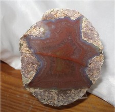 Sternachat floater egidien gebraucht kaufen  Horka