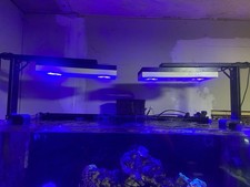 Aqua illumination hydra for sale  Asheboro