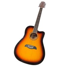 Oscar schmidt washburn for sale  Appleton